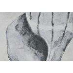 S3059853_2